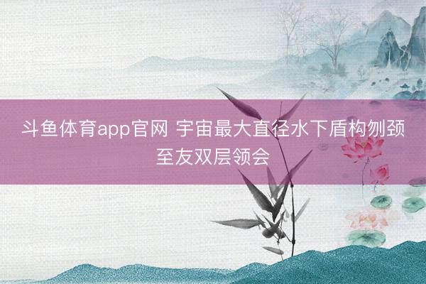 斗鱼体育app官网 宇宙最大直径水下盾构刎颈至友双层领会