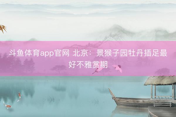 斗鱼体育app官网 北京：景猴子园牡丹插足最好不雅赏期